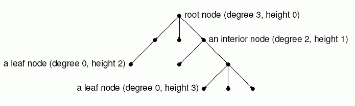 Structure of a tree